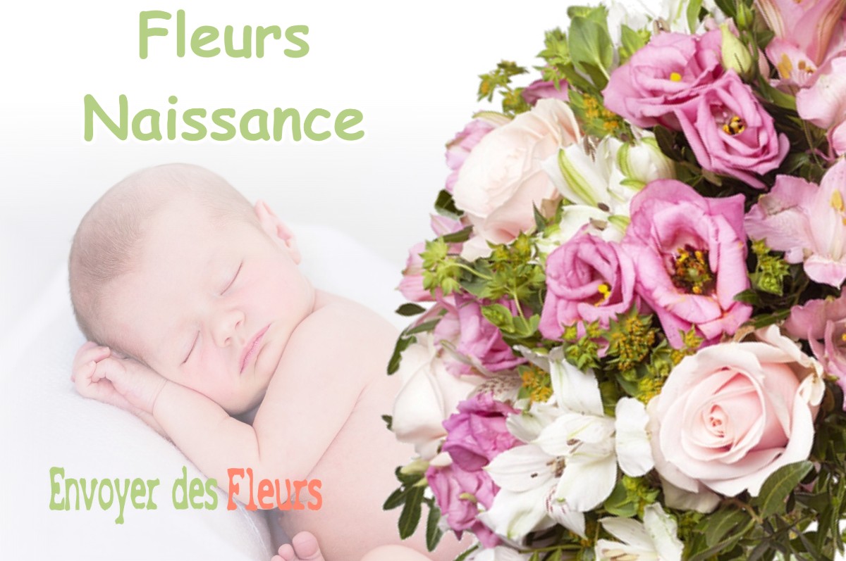 lIVRAISON FLEURS NAISSANCE à SAINTES-MARIES-DE-LA-MER